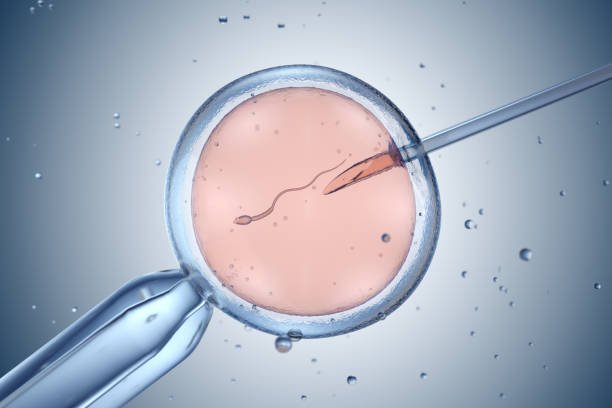Donor Gametes in Greater Noida