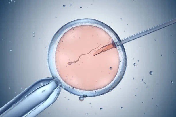 Donor Gametes Treatment in Greater Noida